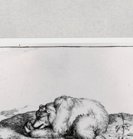 Rückseite von  [http://creativecommons.org/publicdomain/mark/1.0/] ... - , bh286869. Foto.