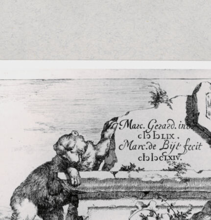 Rückseite von  [http://creativecommons.org/publicdomain/mark/1.0/] ... - , bh286870. Foto.