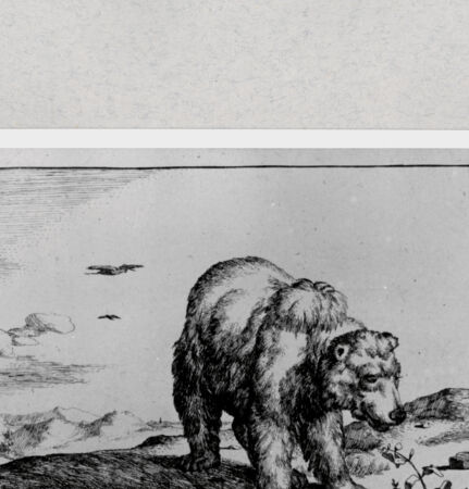 Rückseite von  [http://creativecommons.org/publicdomain/mark/1.0/] ... - , bh286871. Foto.