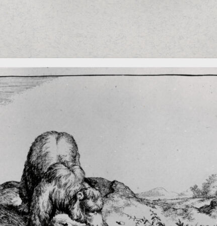 Rückseite von  [http://creativecommons.org/publicdomain/mark/1.0/] ... - , bh286872. Foto.