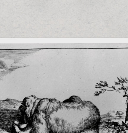 Rückseite von  [http://creativecommons.org/publicdomain/mark/1.0/] ... - , bh286873. Foto.