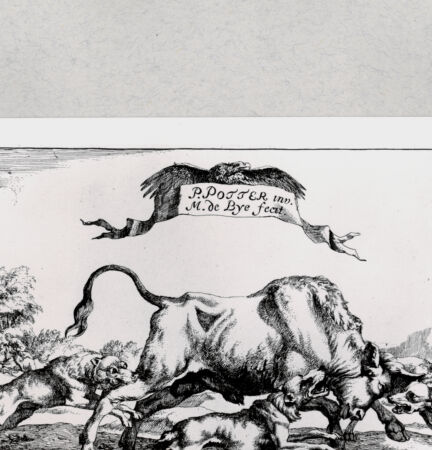 Rückseite von  [http://creativecommons.org/publicdomain/mark/1.0/] ... - , bh286885. Foto.