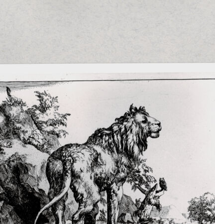 Rückseite von  [http://creativecommons.org/publicdomain/mark/1.0/] ... - , bh286886. Foto.