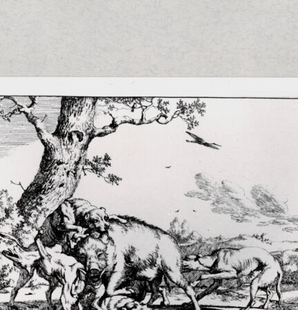 Rückseite von  [http://creativecommons.org/publicdomain/mark/1.0/] ... - , bh286888. Foto.