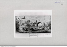 Thumbnail für 44-B-V-p-183