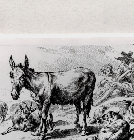 Rückseite von  [http://creativecommons.org/publicdomain/mark/1.0/] ... - , bh286995. Foto.