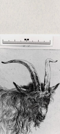 Rückseite von  [http://creativecommons.org/publicdomain/mark/1.0/] ... - , bh286996. Foto.