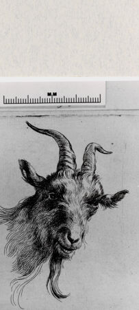 Rückseite von  [http://creativecommons.org/publicdomain/mark/1.0/] ... - , bh286998. Foto.