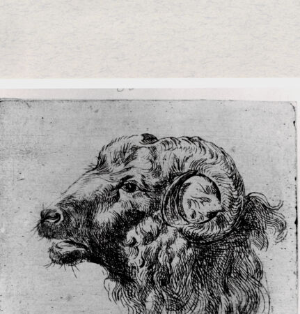 Rückseite von  [http://creativecommons.org/publicdomain/mark/1.0/] ... - , bh287000. Foto.