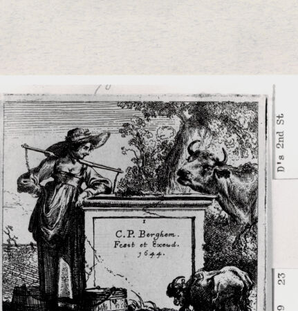 Rückseite von  [http://creativecommons.org/publicdomain/mark/1.0/] ... - , bh287024. Foto.