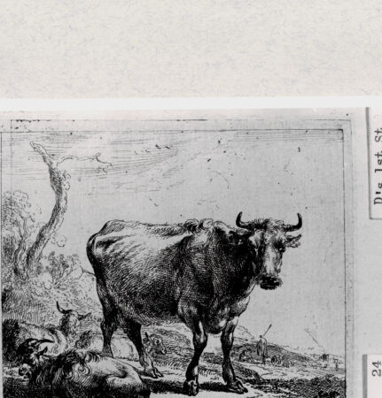 Rückseite von  [http://creativecommons.org/publicdomain/mark/1.0/] ... - , bh287025. Foto.