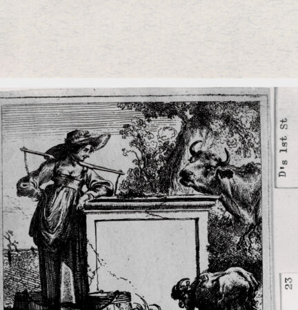 Rückseite von  [http://creativecommons.org/publicdomain/mark/1.0/] ... - , bh287026. Foto.