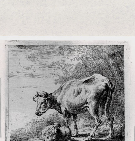 Rückseite von  [http://creativecommons.org/publicdomain/mark/1.0/] ... - , bh287027. Foto.