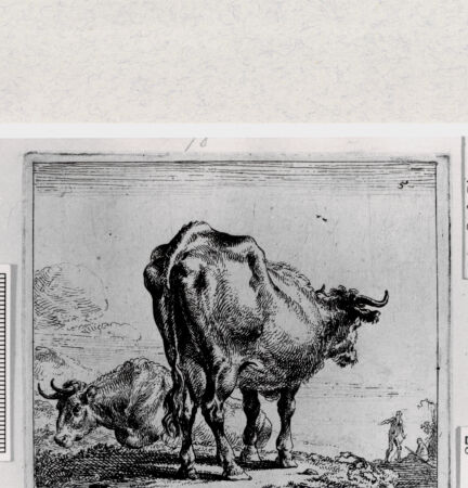 Rückseite von  [http://creativecommons.org/publicdomain/mark/1.0/] ... - , bh287028. Foto.