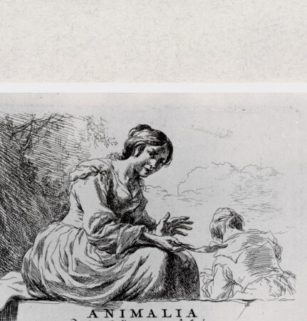 Rückseite von  [http://creativecommons.org/publicdomain/mark/1.0/] ... - , bh287030. Foto.