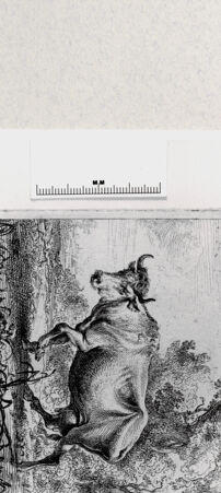 Rückseite von  [http://creativecommons.org/publicdomain/mark/1.0/] ... - , bh287032. Foto.