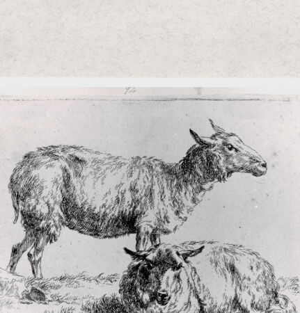 Rückseite von  [http://creativecommons.org/publicdomain/mark/1.0/] ... - , bh287034. Foto.