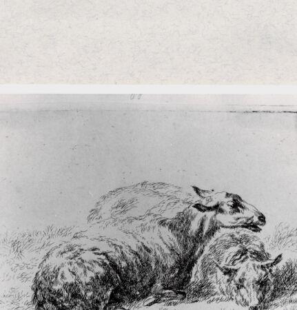 Rückseite von  [http://creativecommons.org/publicdomain/mark/1.0/] ... - , bh287035. Foto.