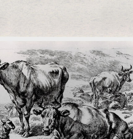 Rückseite von  [http://creativecommons.org/publicdomain/mark/1.0/] ... - , bh287088. Foto.