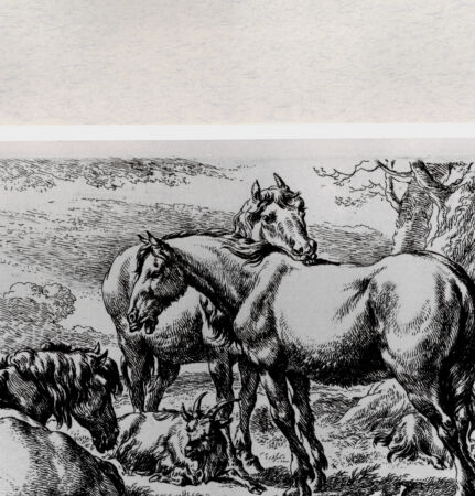 Rückseite von  [http://creativecommons.org/publicdomain/mark/1.0/] ... - , bh287090. Foto.