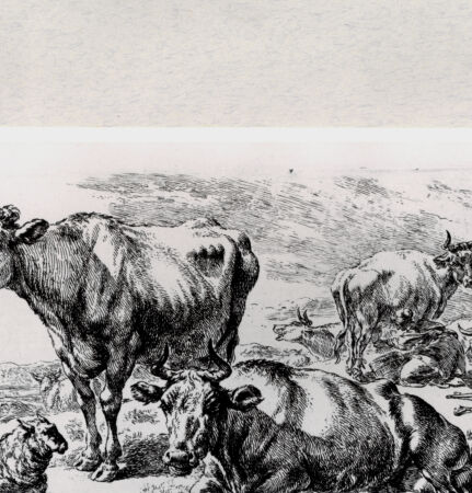 Rückseite von  [http://creativecommons.org/publicdomain/mark/1.0/] ... - , bh287091. Foto.