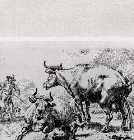 Rückseite von  [http://creativecommons.org/publicdomain/mark/1.0/] ... - , bh287093. Foto.