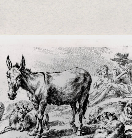 Rückseite von  [http://creativecommons.org/publicdomain/mark/1.0/] ... - , bh287094. Foto.