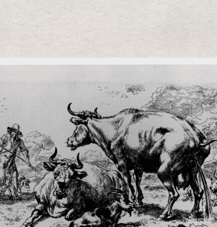 Rückseite von  [http://creativecommons.org/publicdomain/mark/1.0/] ... - , bh287095. Foto.