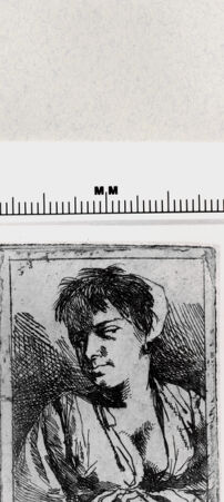 Rückseite von  [http://creativecommons.org/publicdomain/mark/1.0/] ... - , bh287126. Foto.