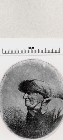 Rückseite von  [http://creativecommons.org/publicdomain/mark/1.0/] ... - , bh287133. Foto.