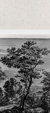 Rückseite von  [http://creativecommons.org/publicdomain/mark/1.0/] ... - , bh287148. Foto.