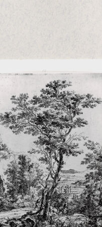 Rückseite von  [http://creativecommons.org/publicdomain/mark/1.0/] ... - , bh287153. Foto.