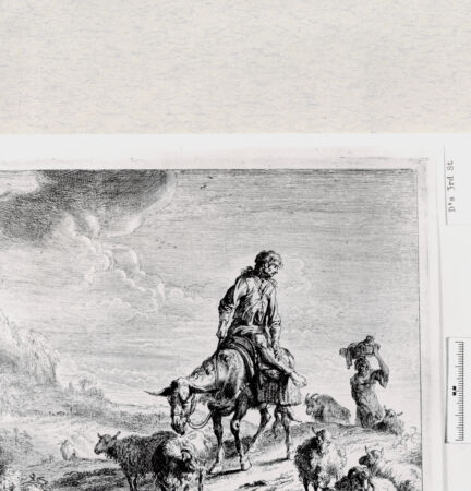 Rückseite von  [http://creativecommons.org/publicdomain/mark/1.0/] ... - , bh287197. Foto.