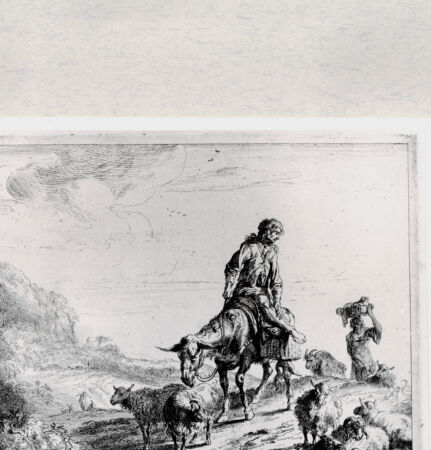 Rückseite von  [http://creativecommons.org/publicdomain/mark/1.0/] ... - , bh287198. Foto.