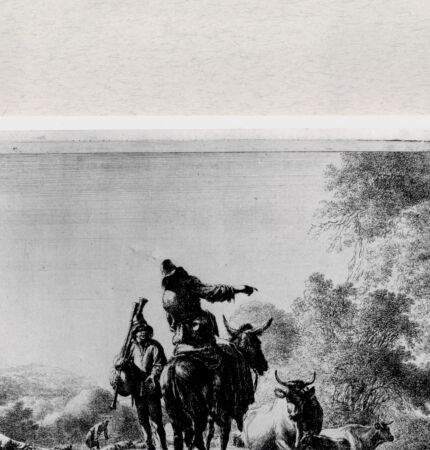 Rückseite von  [http://creativecommons.org/publicdomain/mark/1.0/] ... - , bh287199. Foto.