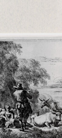 Rückseite von  [http://creativecommons.org/publicdomain/mark/1.0/] ... - , bh287202. Foto.