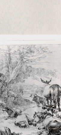 Rückseite von  [http://creativecommons.org/publicdomain/mark/1.0/] ... - , bh287204. Foto.