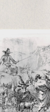 Rückseite von  [http://creativecommons.org/publicdomain/mark/1.0/] ... - , bh287205. Foto.