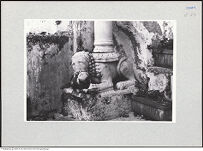 Thumbnail des vierten Ordners