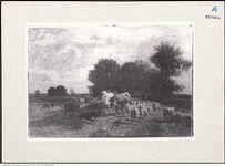 Thumbnail des 6. Ordners