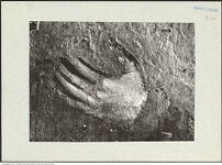 Thumbnail des 14. Ordners