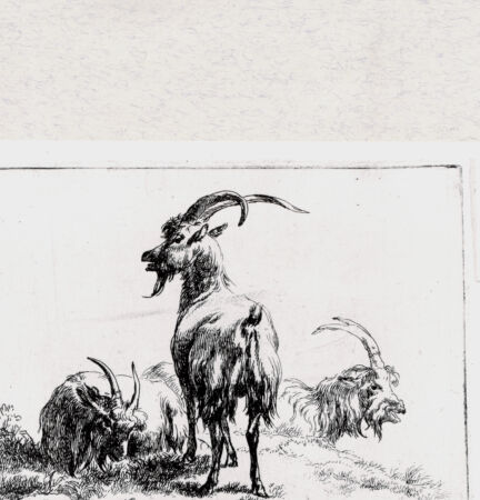 Rückseite von  [http://creativecommons.org/publicdomain/mark/1.0/] ... - , bh293356. Foto.