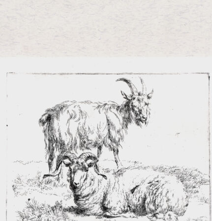 Rückseite von  [http://creativecommons.org/publicdomain/mark/1.0/] ... - , bh293357. Foto.