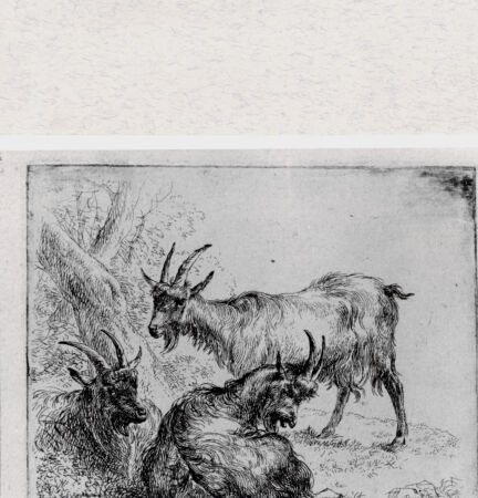 Rückseite von  [http://creativecommons.org/publicdomain/mark/1.0/] ... - , bh293359. Foto.