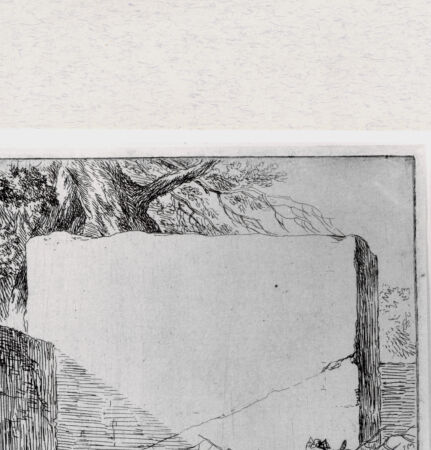 Rückseite von  [http://creativecommons.org/publicdomain/mark/1.0/] ... - , bh293362. Foto.