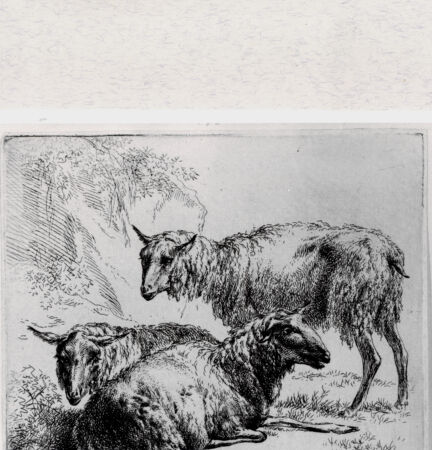 Rückseite von  [http://creativecommons.org/publicdomain/mark/1.0/] ... - , bh293363. Foto.