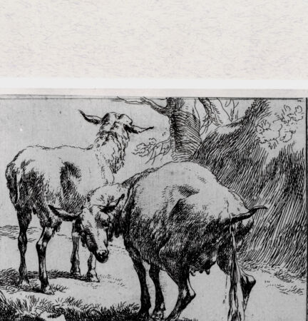 Rückseite von  [http://creativecommons.org/publicdomain/mark/1.0/] ... - , bh293364. Foto.