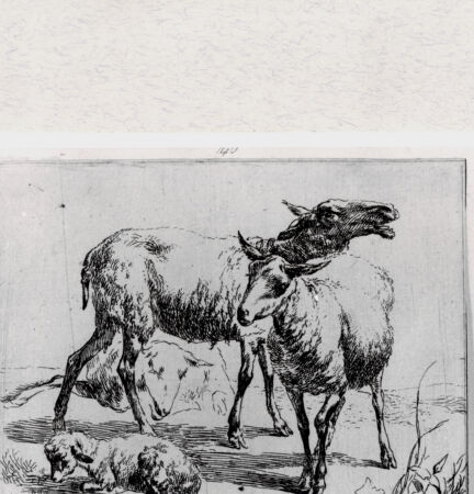 Rückseite von  [http://creativecommons.org/publicdomain/mark/1.0/] ... - , bh293365. Foto.