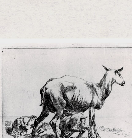 Rückseite von  [http://creativecommons.org/publicdomain/mark/1.0/] ... - , bh293366. Foto.