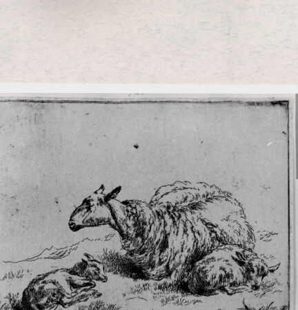 Rückseite von  [http://creativecommons.org/publicdomain/mark/1.0/] ... - , bh293367. Foto.